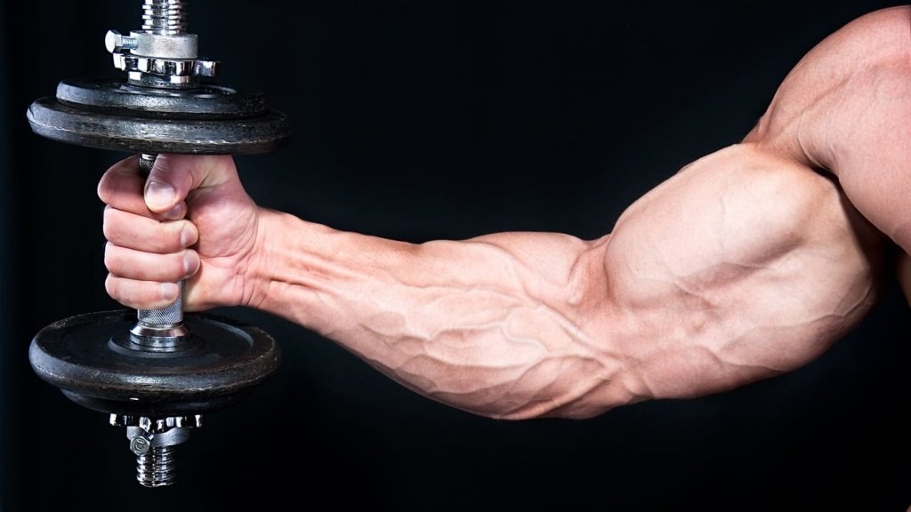 mano derecha de brazo musculoso sujeta una mancuerna lateralmente