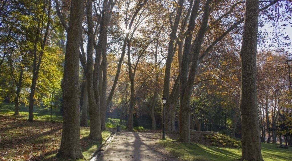 parque de castrelos un lugar para pasear y hacer deporte en la naturaleza dentro de la ciudad de Vigo