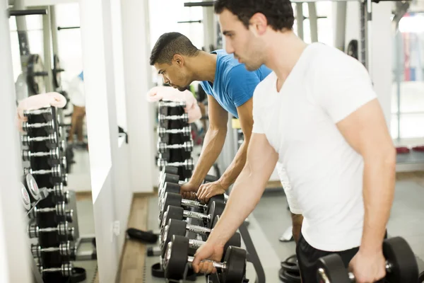 dos clientes de entrenamientos personales cogen mancuernas para comenzar a ejercitarse