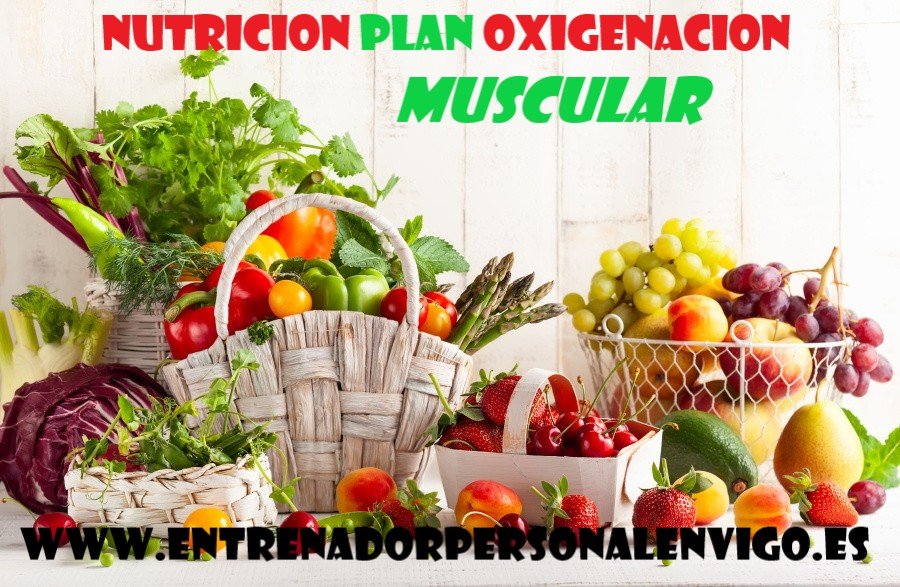 verduras y hortalizas de todo tipo se muestran con un fondo blanco