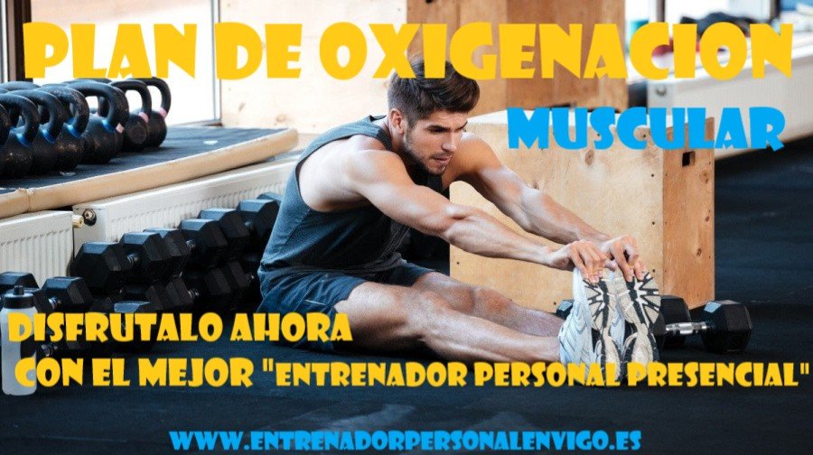 usuario de gimnasio sentado en el suelo alcanza sus pies con las manos realizando un estiramiento para el bíceps femoral