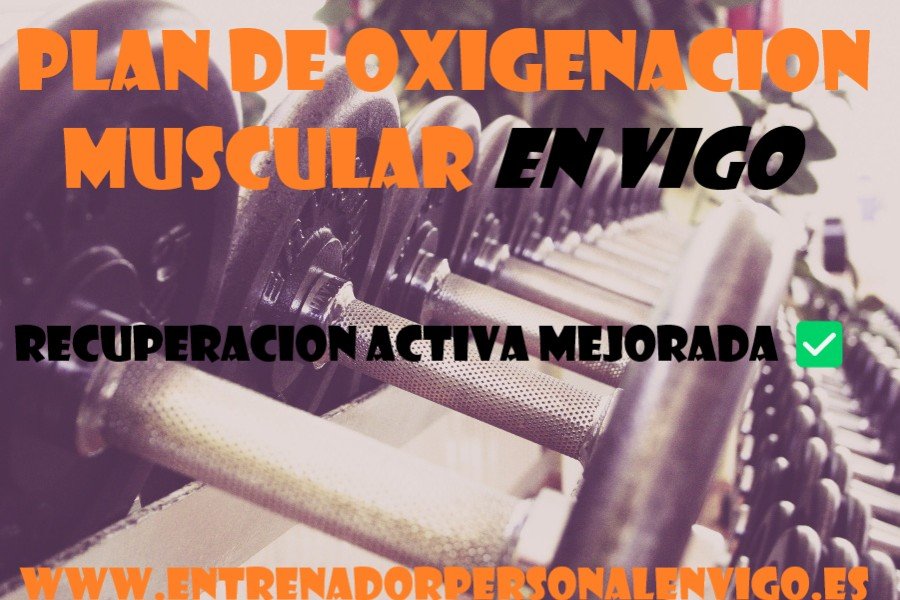 gran soporte de mancuernas en un gimnasio