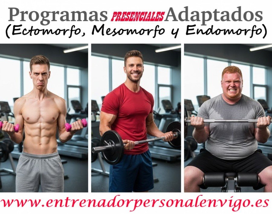 un ectomorfo a la izquierda, un mesomorfo en el centro y un endomorfo a la derecha de la imagen