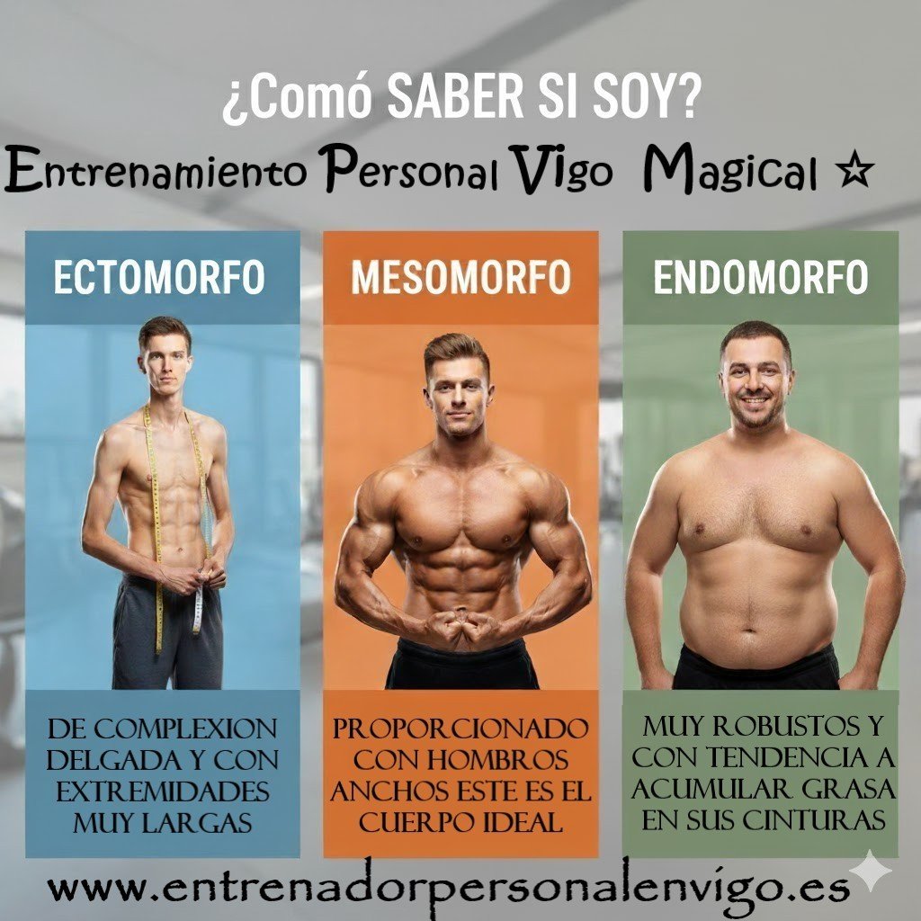 como saber si soy ectomorfo, mesomorfo o endomorfo