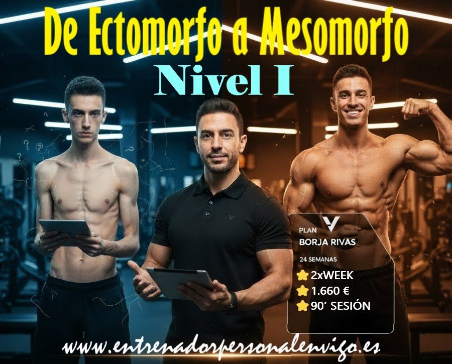un ectomorfo en la parte izquierda de la imagen y a la derecha un mesomorfo, finalmente en primer plano y delante de los dos anteriores un entrenador personal 