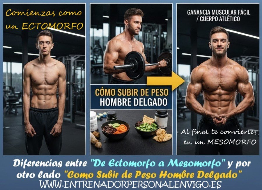 diferencias entre de ectomorfo a mesomorfo y como subir de peso hombre delgado